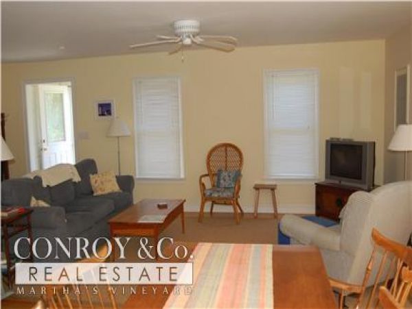 Cape Cod Home 994339