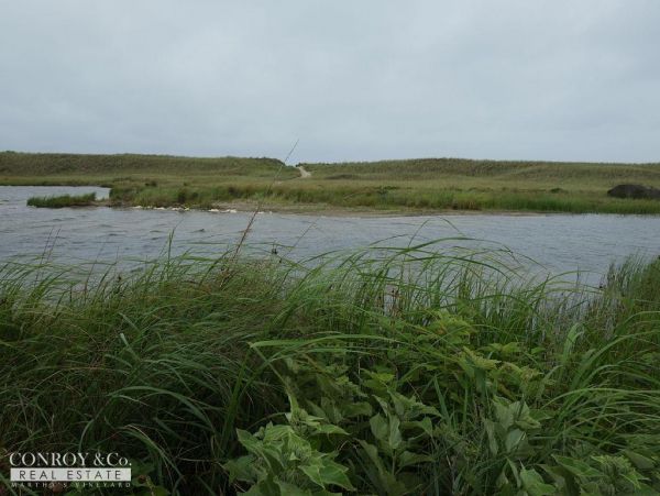 Cape Cod Home 994341