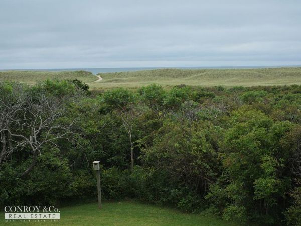 Cape Cod Home 994341