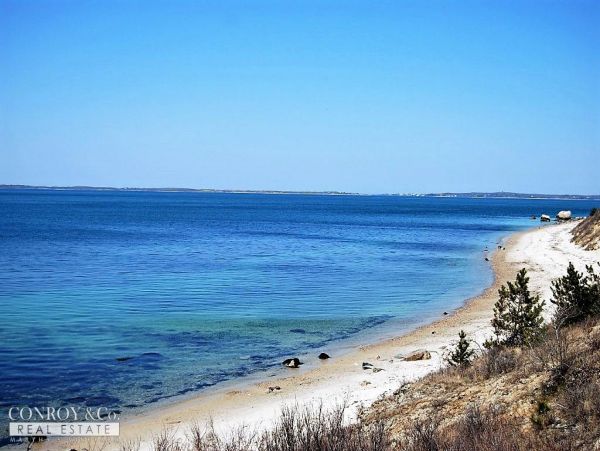 Cape Cod Home 994342