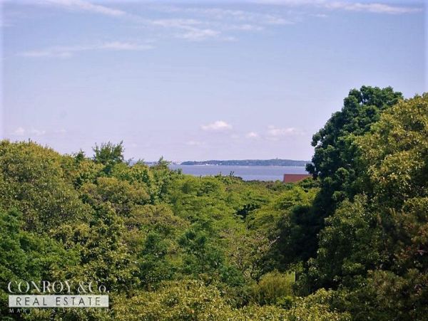 Cape Cod Home 994342