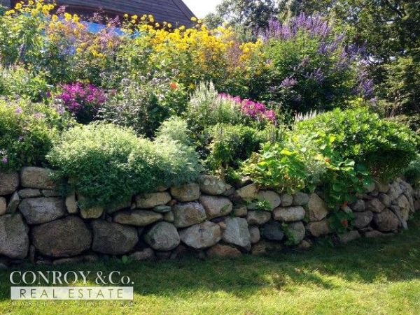 Cape Cod Home 994344