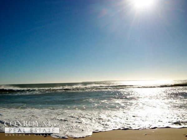 Cape Cod Home 994346
