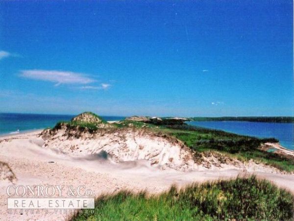 Cape Cod Home 994346
