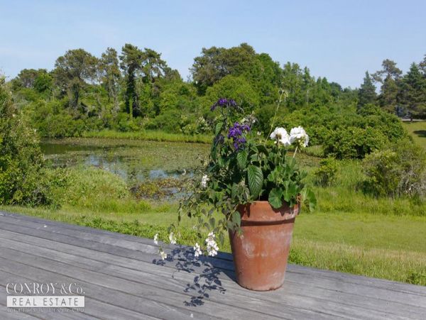 Cape Cod Home 994348