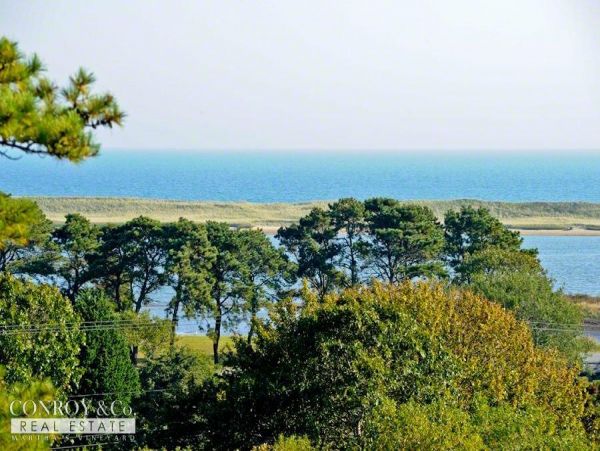 Cape Cod Home 994349