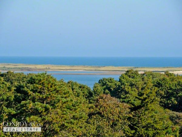 Cape Cod Home 994349