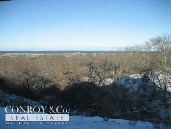 Cape Cod Home 994352