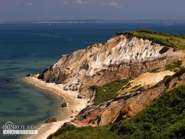 Cape Cod Home 994356