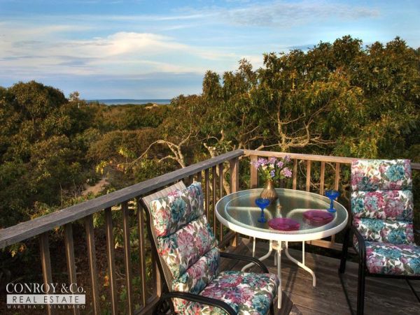 Cape Cod Home 994356