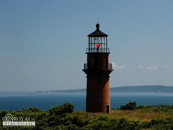 Cape Cod Home 994356