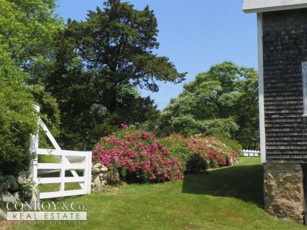 Cape Cod Home 994359