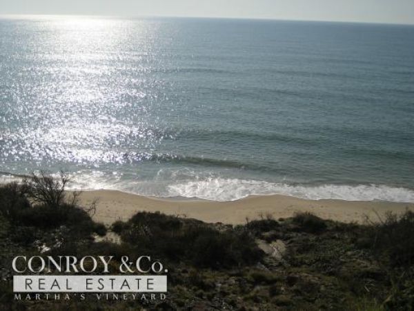 Cape Cod Home 994359