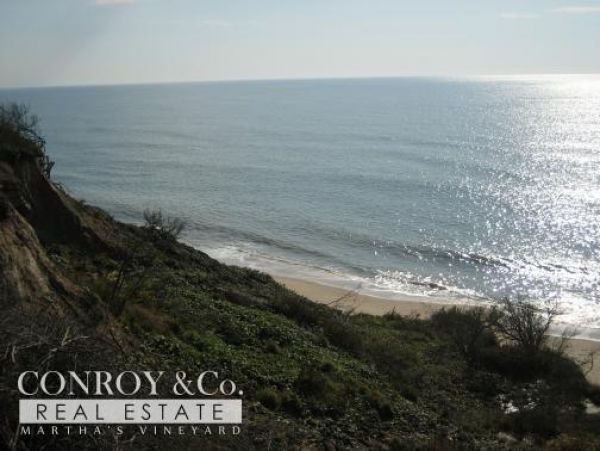Cape Cod Home 994359