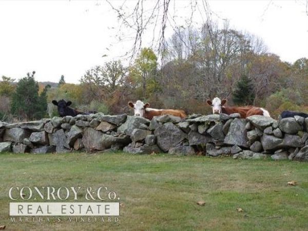 Cape Cod Home 994366