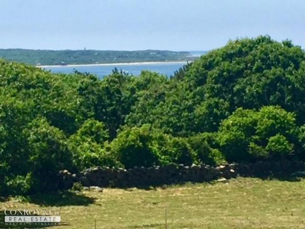 Cape Cod Home 994368