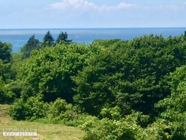 Cape Cod Home 994368