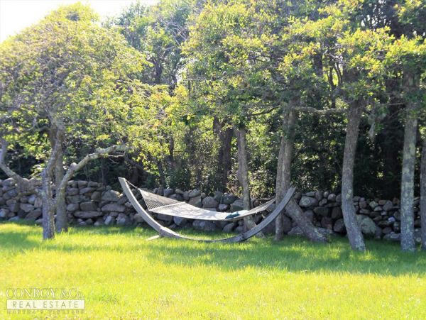 Cape Cod Home 994370