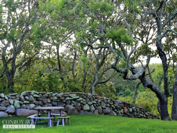 Cape Cod Home 994370
