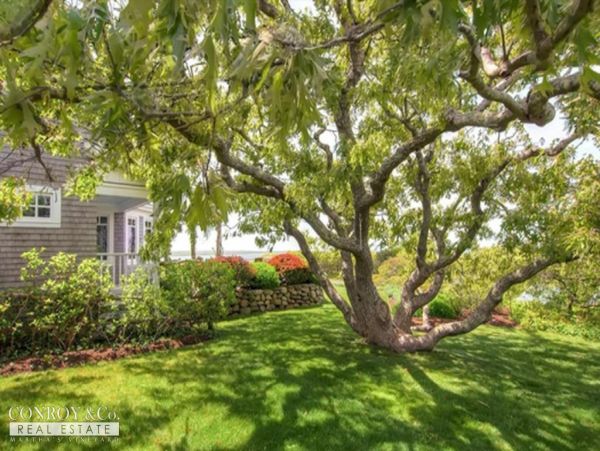 Cape Cod Home 994371