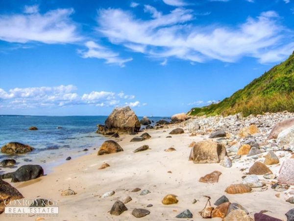 Cape Cod Home 994371