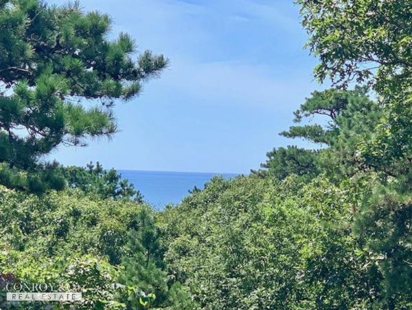 Cape Cod Home 994372