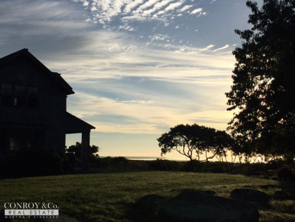 Cape Cod Home 994373