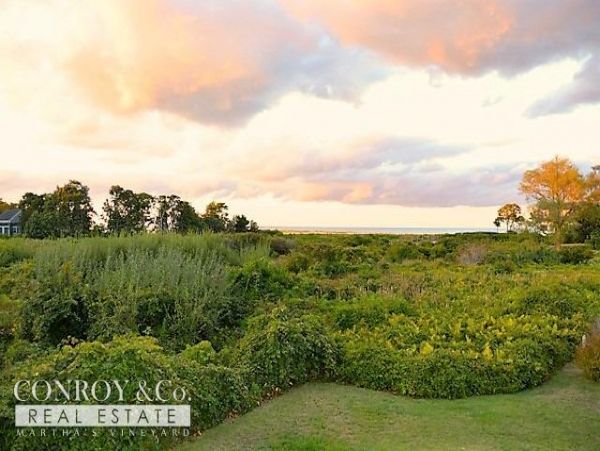 Cape Cod Home 994375