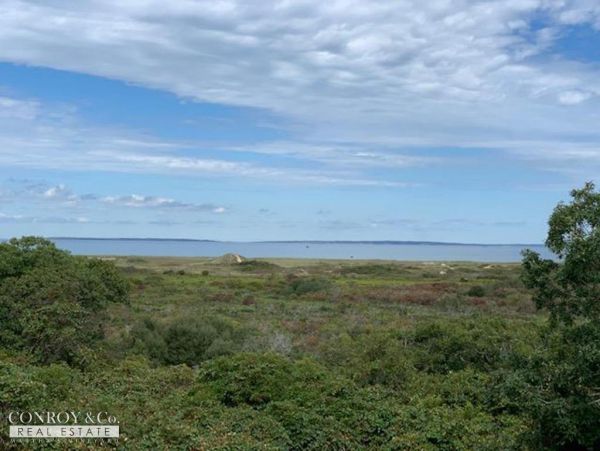 Cape Cod Home 994378