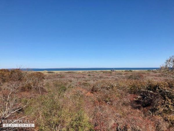 Cape Cod Home 994378