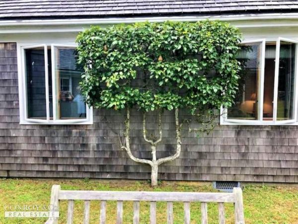 Cape Cod Home 994382
