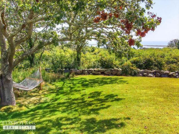 Cape Cod Home 994384