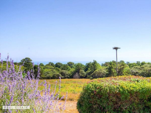 Cape Cod Home 994389
