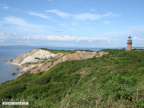 Cape Cod Home 994390