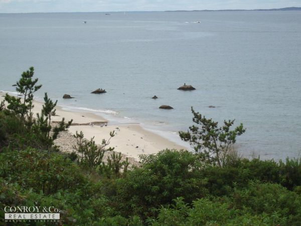 Cape Cod Home 994390