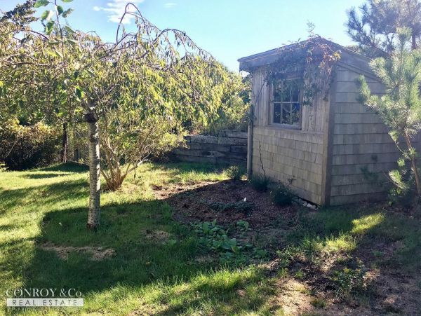 Cape Cod Home 994391