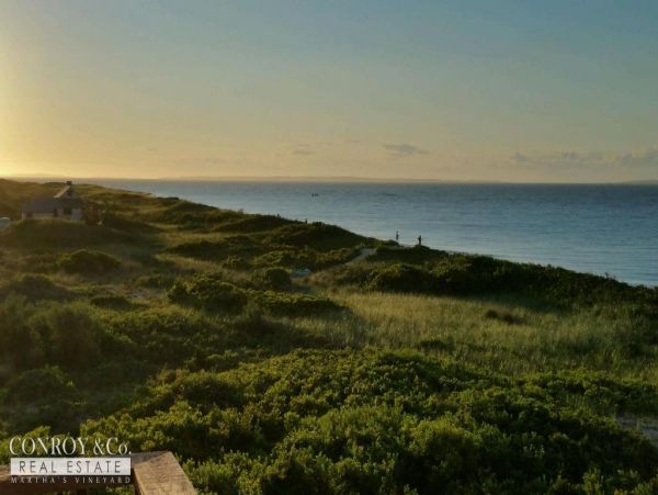 Cape Cod Home 994394
