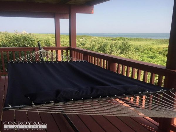 Cape Cod Home 994394