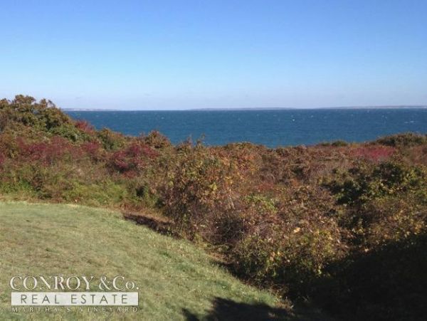 Cape Cod Home 994397