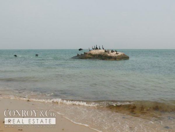 Cape Cod Home 994397