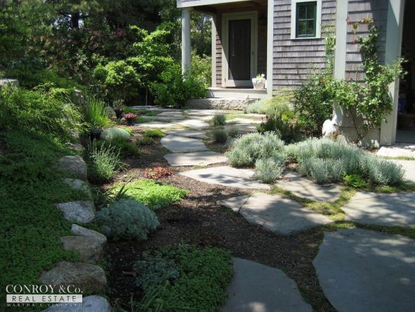 Cape Cod Home 994398