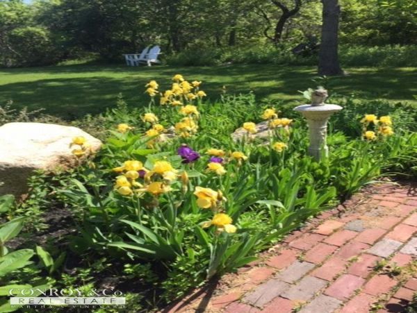 Cape Cod Home 994398