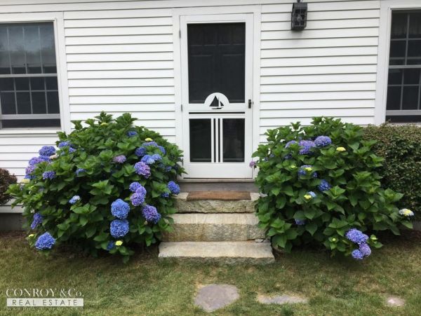 Cape Cod Home 994400