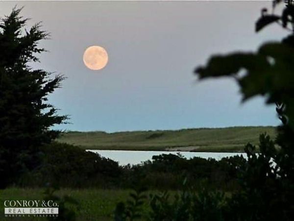 Cape Cod Home 994402