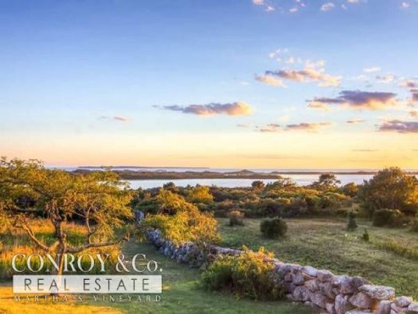 Cape Cod Home 994408