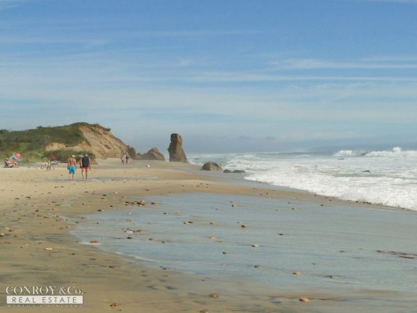 Cape Cod Home 994412