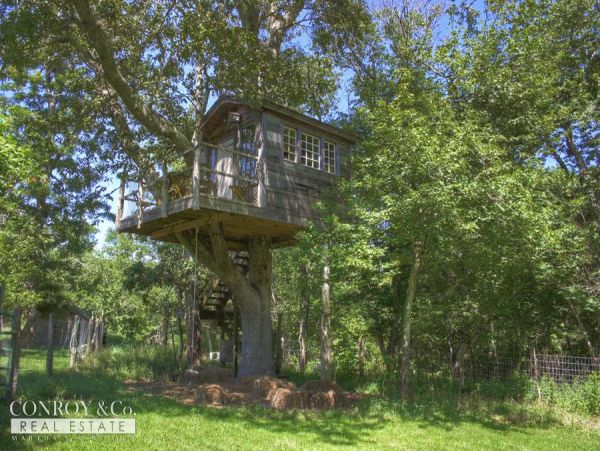 Cape Cod Home 994414