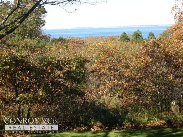Cape Cod Home 994417