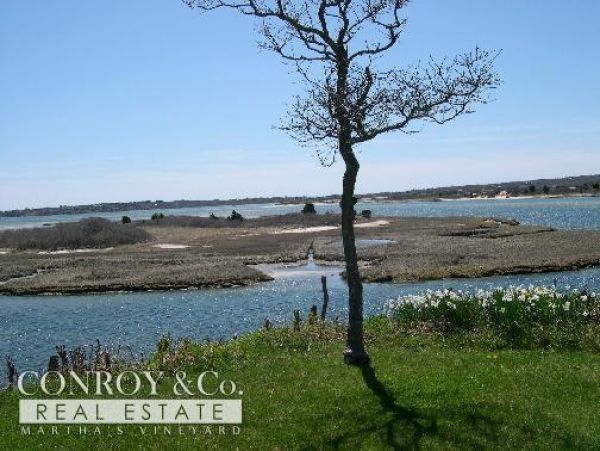 Cape Cod Home 994420