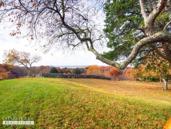 Cape Cod Home 994422